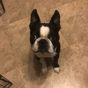 Meet your Posher, Kelly